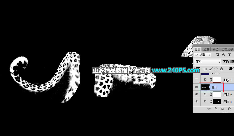 Photoshop巧用通道工具快速抠出豹子图像,PS教程,PS家园网