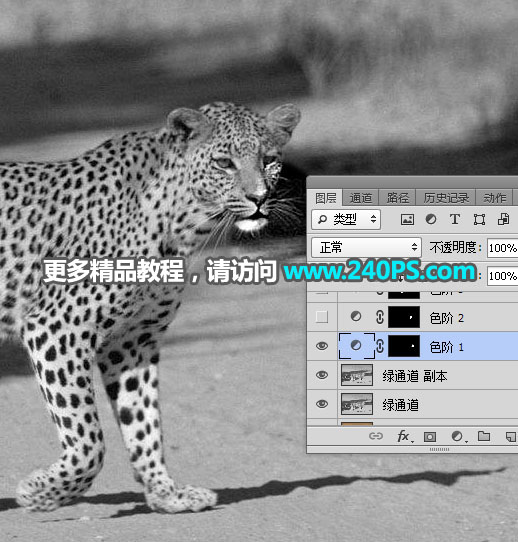 Photoshop巧用通道工具快速抠出豹子图像,PS教程,PS家园网