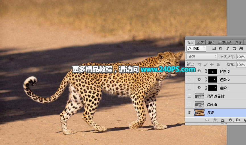 Photoshop巧用通道工具快速抠出豹子图像,PS教程,PS家园网