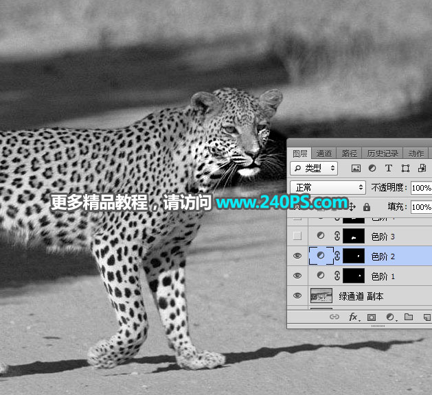 Photoshop巧用通道工具快速抠出豹子图像,PS教程,PS家园网