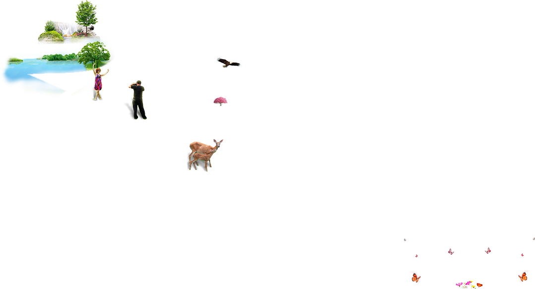 Photoshop制作创意的春季草地立体字教程,PS教程,PS家园网