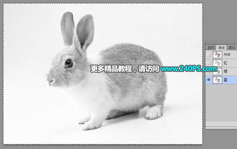 Photoshop使用钢笔和通道抠出兔子教程,PS教程,PS家园网