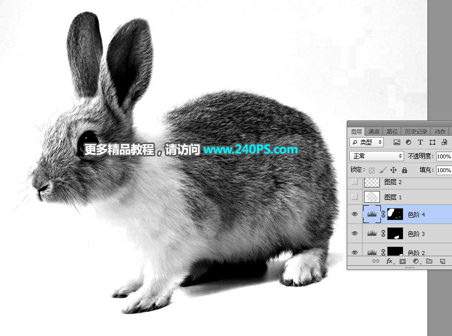Photoshop使用钢笔和通道抠出兔子教程,PS教程,PS家园网