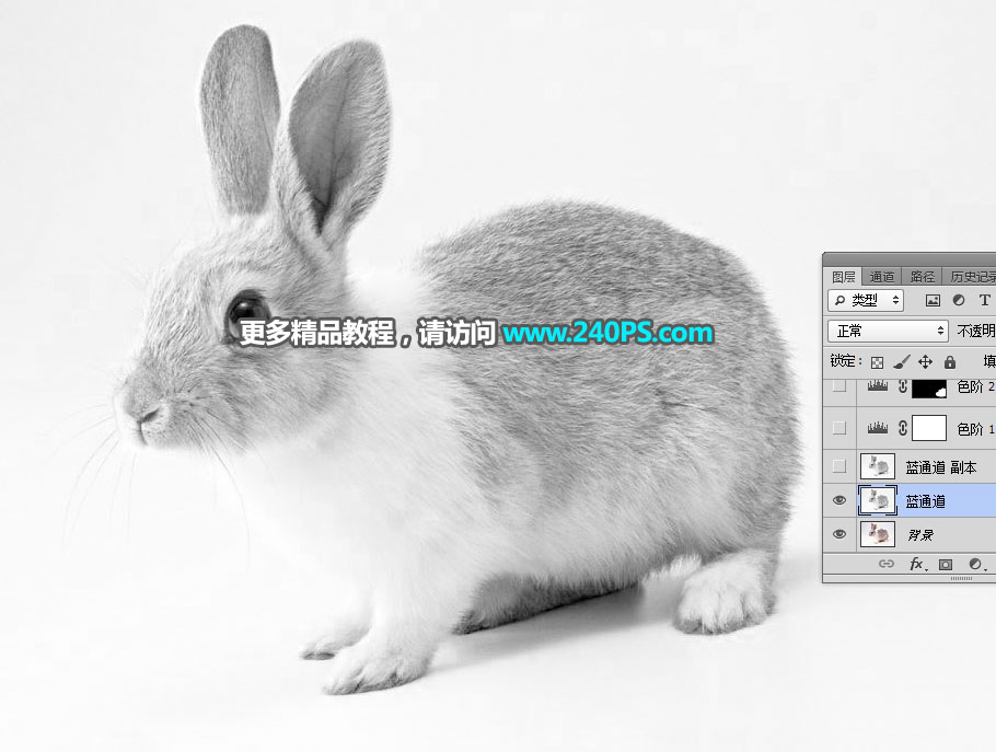 Photoshop使用钢笔和通道抠出兔子教程,PS教程,PS家园网