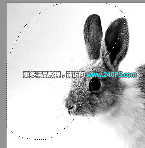 Photoshop使用钢笔和通道抠出兔子教程,PS教程,PS家园网