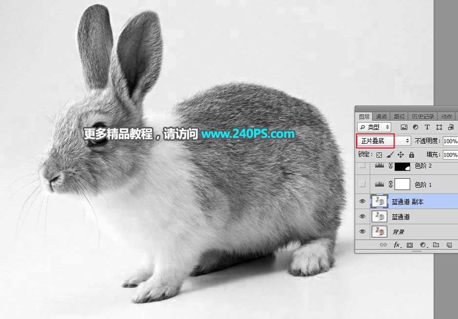 Photoshop使用钢笔和通道抠出兔子教程,PS教程,PS家园网
