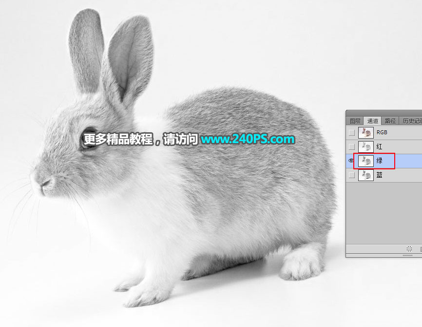 Photoshop使用钢笔和通道抠出兔子教程,PS教程,PS家园网