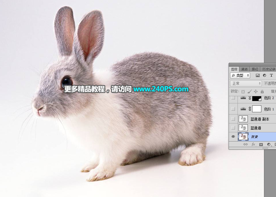 Photoshop使用钢笔和通道抠出兔子教程,PS教程,PS家园网
