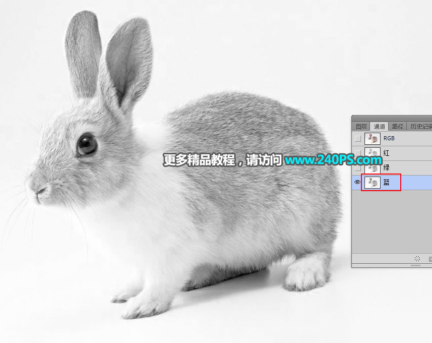 Photoshop使用钢笔和通道抠出兔子教程,PS教程,PS家园网