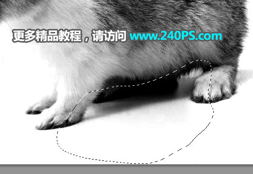 Photoshop使用钢笔和通道抠出兔子教程,PS教程,PS家园网