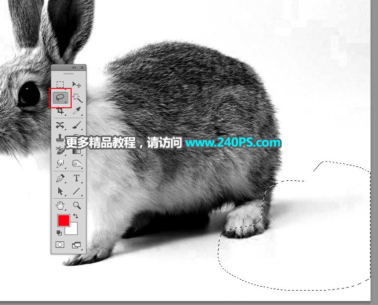 Photoshop使用钢笔和通道抠出兔子教程,PS教程,PS家园网