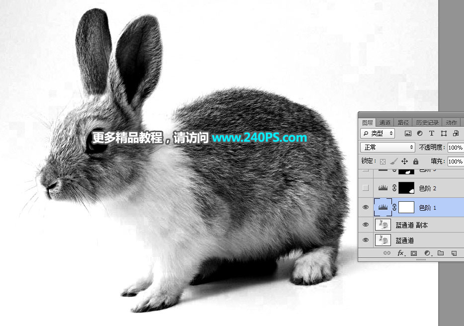 Photoshop使用钢笔和通道抠出兔子教程,PS教程,PS家园网