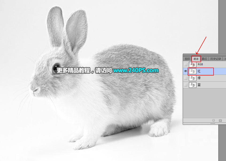 Photoshop使用钢笔和通道抠出兔子教程,PS教程,PS家园网