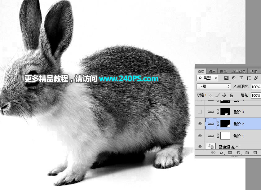 Photoshop使用钢笔和通道抠出兔子教程,PS教程,PS家园网