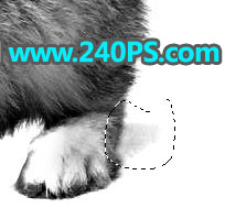 Photoshop使用钢笔和通道抠出兔子教程,PS教程,PS家园网
