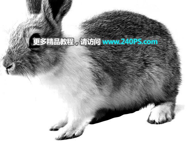 Photoshop使用钢笔和通道抠出兔子教程,PS教程,PS家园网