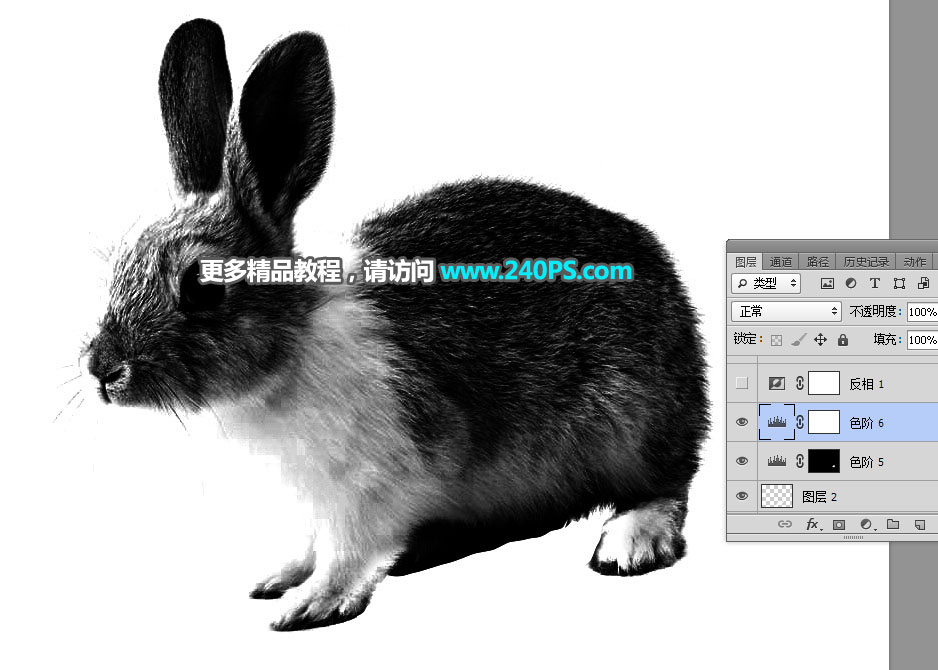 Photoshop使用钢笔和通道抠出兔子教程,PS教程,PS家园网