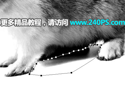 Photoshop使用钢笔和通道抠出兔子教程,PS教程,PS家园网