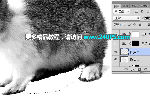 Photoshop使用钢笔和通道抠出兔子教程,PS教程,PS家园网