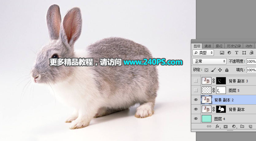 Photoshop使用钢笔和通道抠出兔子教程,PS教程,PS家园网
