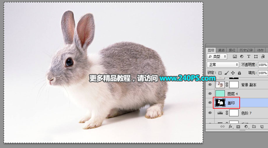 Photoshop使用钢笔和通道抠出兔子教程,PS教程,PS家园网