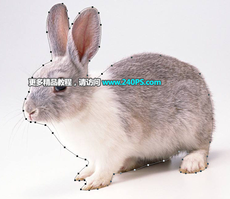 Photoshop使用钢笔和通道抠出兔子教程,PS教程,PS家园网