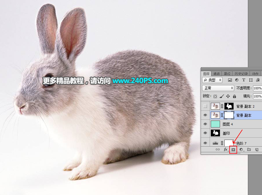 Photoshop使用钢笔和通道抠出兔子教程,PS教程,PS家园网