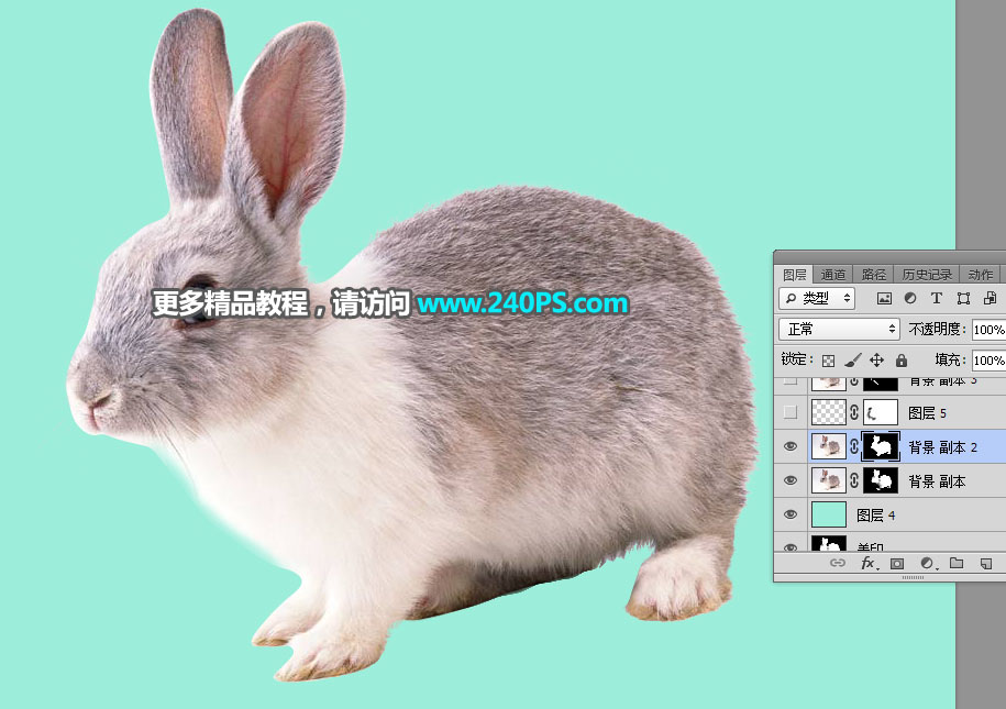 Photoshop使用钢笔和通道抠出兔子教程,PS教程,PS家园网