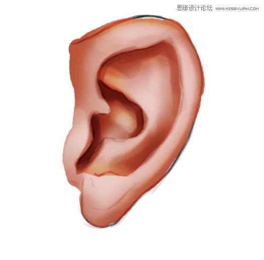Photoshop绘制逼真的人像耳朵,PS教程,PS家园网