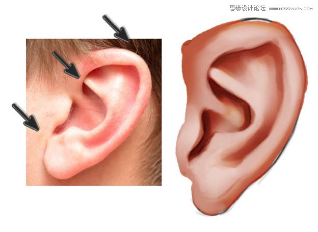 Photoshop绘制逼真的人像耳朵,PS教程,PS家园网