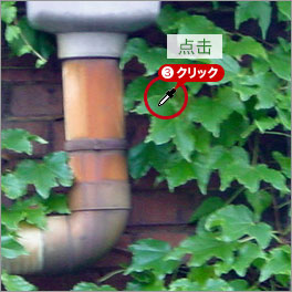 Photoshop快速把秋季落叶照片变成金黄色效果,PS教程,PS家园网