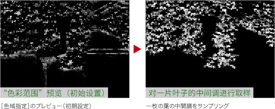 Photoshop快速把秋季落叶照片变成金黄色效果,PS教程,PS家园网