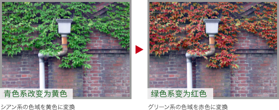 Photoshop快速把秋季落叶照片变成金黄色效果,PS教程,PS家园网