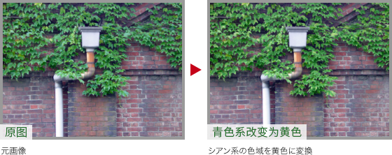 Photoshop快速把秋季落叶照片变成金黄色效果,PS教程,PS家园网