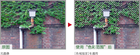 Photoshop快速把秋季落叶照片变成金黄色效果,PS教程,PS家园网