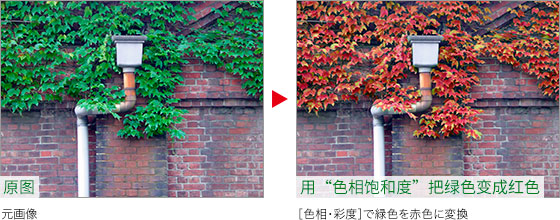 Photoshop快速把秋季落叶照片变成金黄色效果,PS教程,PS家园网