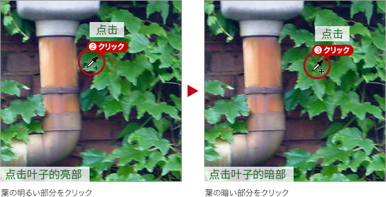 Photoshop快速把秋季落叶照片变成金黄色效果,PS教程,PS家园网