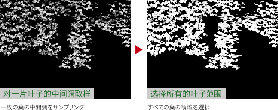 Photoshop快速把秋季落叶照片变成金黄色效果,PS教程,PS家园网
