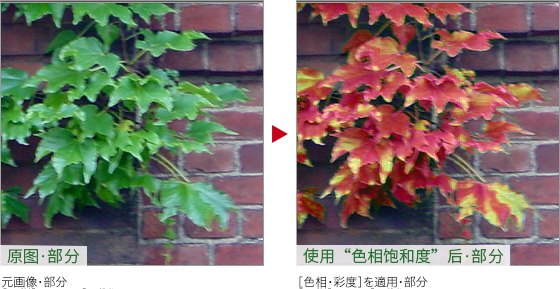 Photoshop快速把秋季落叶照片变成金黄色效果,PS教程,PS家园网