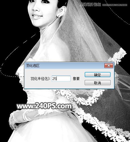 Photoshop使用通道工具抠出飘逸的透明婚纱照,PS教程,PS家园网