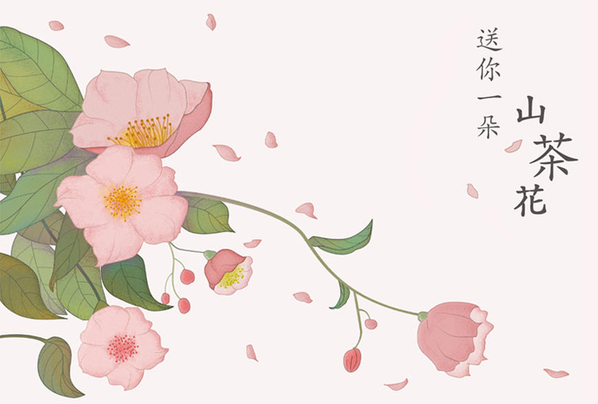 Photoshop结合AI绘制山茶花插画教程,PS教程,PS家园网