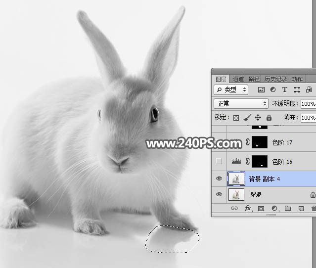 Photoshop抠出毛茸茸的小白兔教程,PS教程,PS家园网