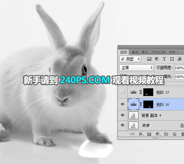 Photoshop抠出毛茸茸的小白兔教程,PS教程,PS家园网