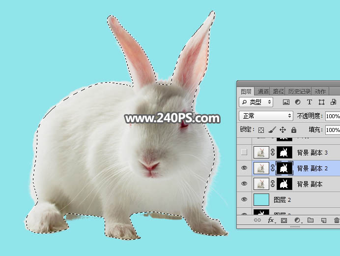 Photoshop抠出毛茸茸的小白兔教程,PS教程,PS家园网