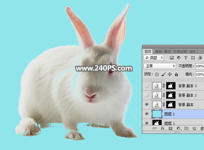 Photoshop抠出毛茸茸的小白兔教程,PS教程,PS家园网