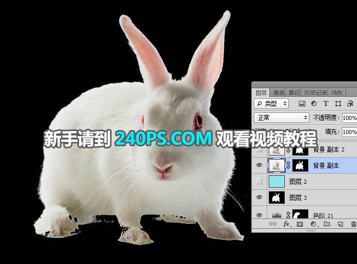 Photoshop抠出毛茸茸的小白兔教程,PS教程,PS家园网