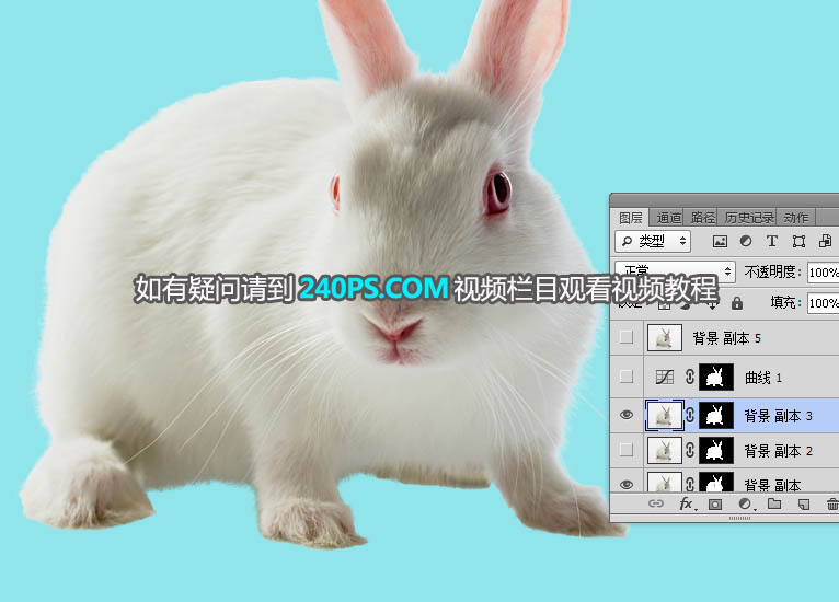 Photoshop抠出毛茸茸的小白兔教程,PS教程,PS家园网