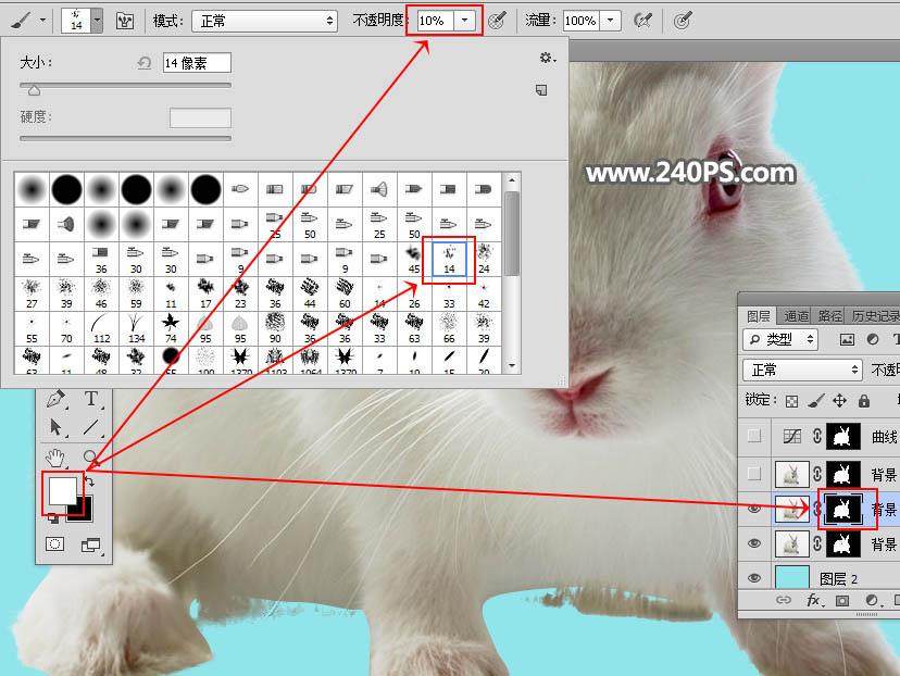 Photoshop抠出毛茸茸的小白兔教程,PS教程,PS家园网