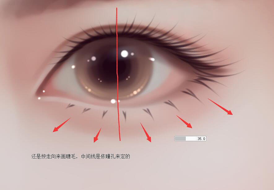 Photoshop绘制人像转手绘中的漂亮的眼睛,PS教程,PS家园网