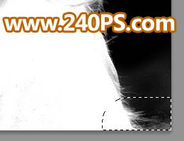 Photoshop巧用通道抠出多发丝的美女头像,PS教程,PS家园网